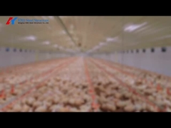 Broiler ground feeding