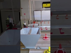 Feeding Floor Equipment